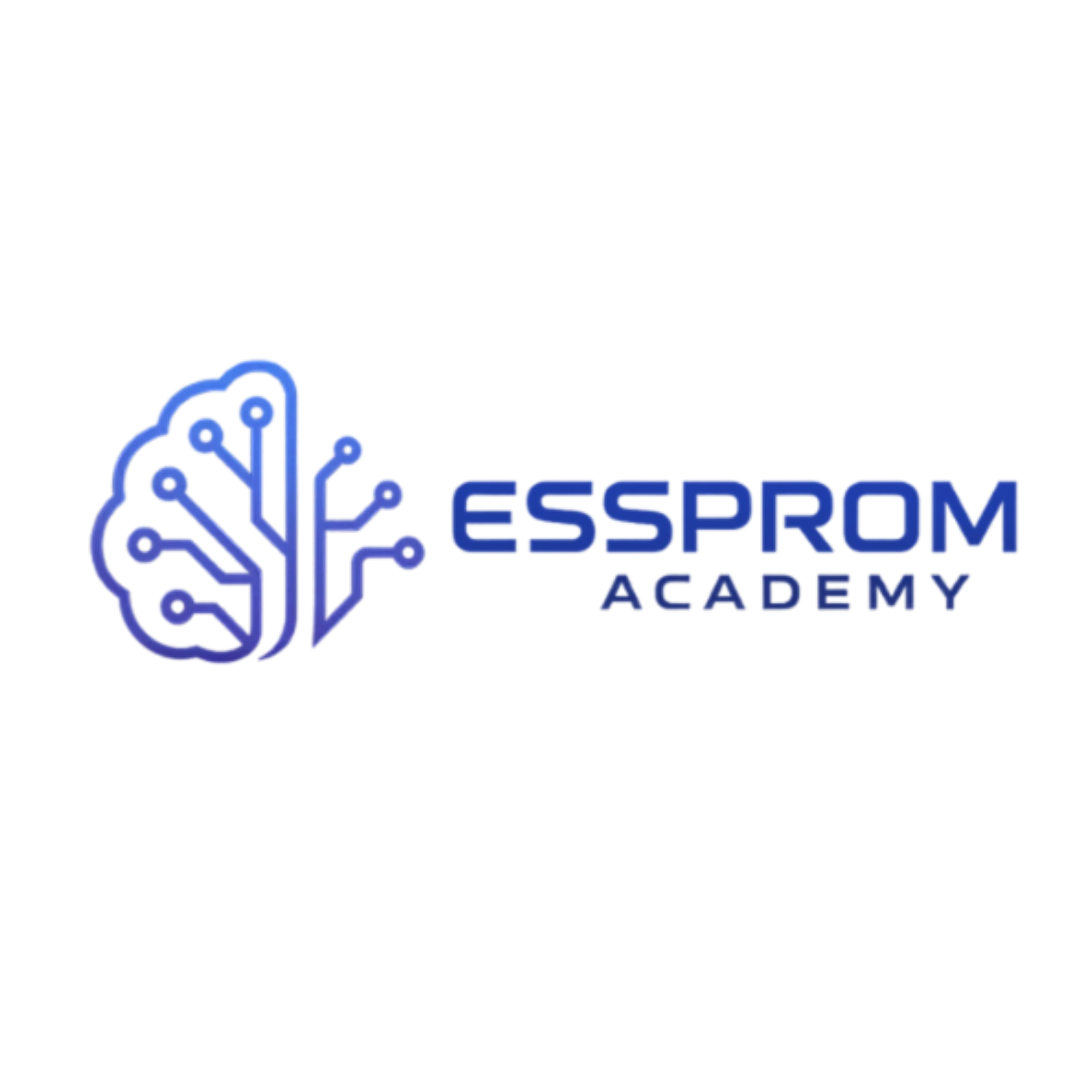 EssProm Academy